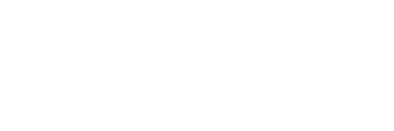 The AI Blackbox